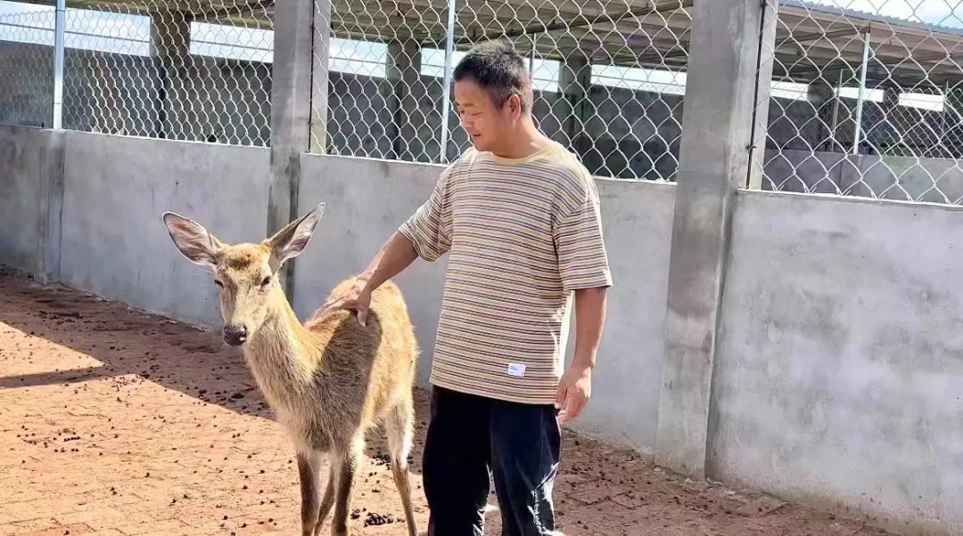 天狮大中华卓越卡登录